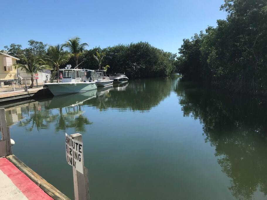 Little Slice Of Heaven Right In Key Largo Daire Dış mekan fotoğraf